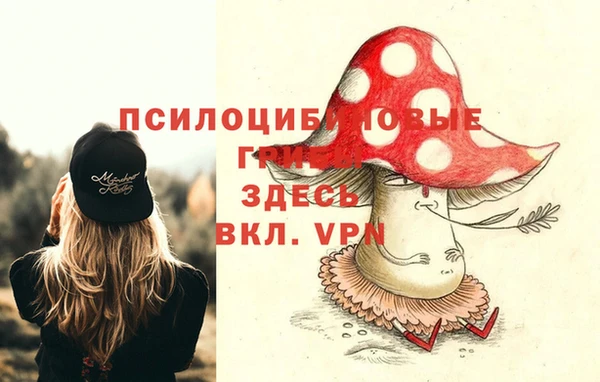 таблы Алзамай