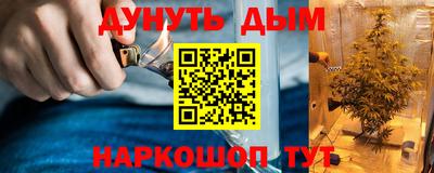 тгк Шелехов