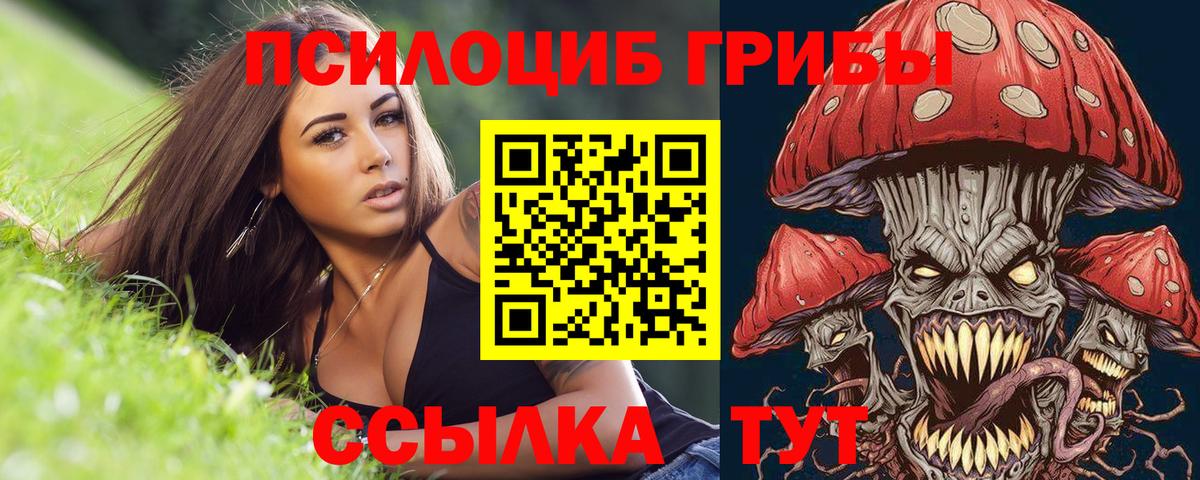 Псилоцибиновые грибы Psilocybine cubensis  Вход с VPN  Алушта 